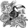 Vector illustration of a toucan bird in a tropical garden in an engraving style Royalty Free Stock Photo